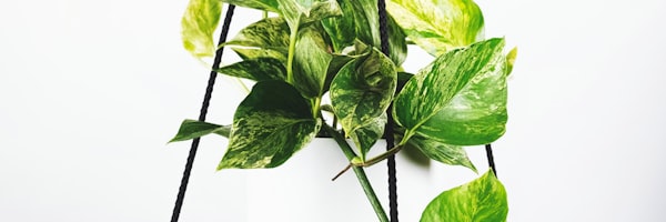 里奥·梅西肖像 - 阿根廷10号球衣